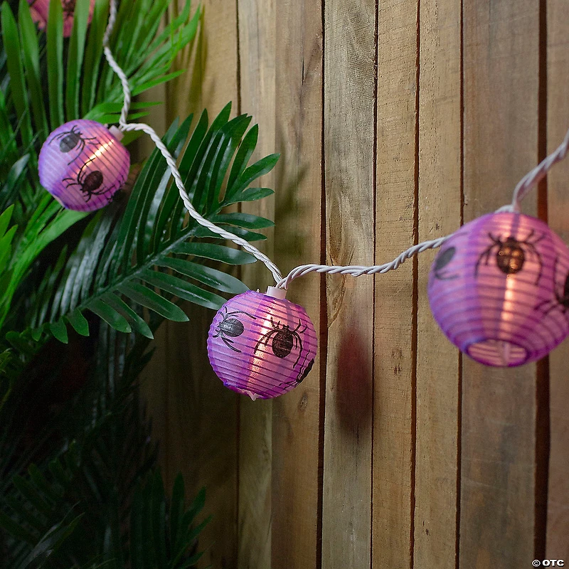 10-Count Purple and Black Spider Paper Lantern Halloween Lights  8.5ft White Wire
