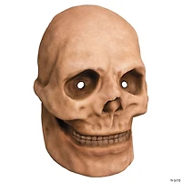 10" x 6" Catacomb Skull Plastic Overhead Mask - One Size