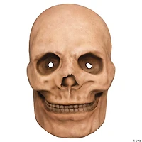 10" x 6" Catacomb Skull Plastic Overhead Mask - One Size