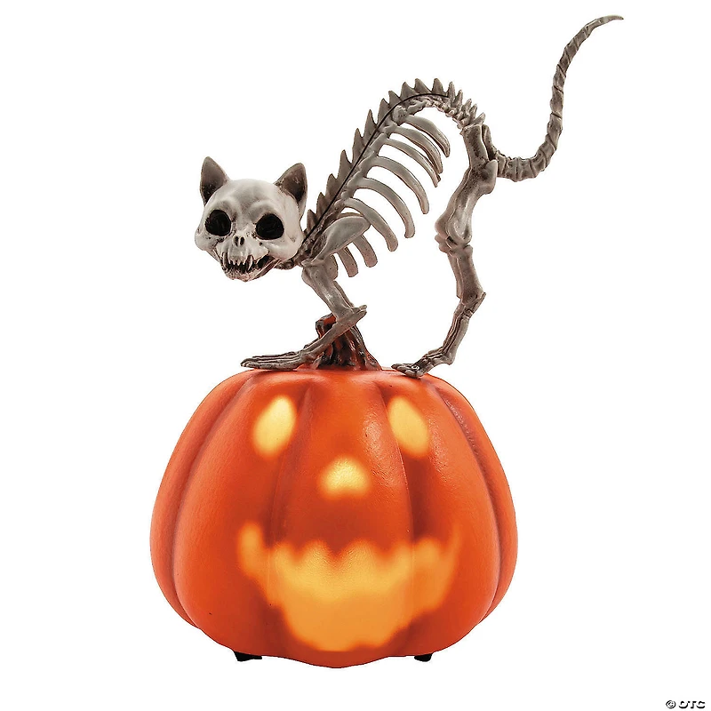 11 1/2" Animated Pumpkin with Skeleton Cat Tabletop Halloween Decoration