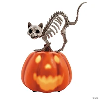 11 1/2" Animated Pumpkin with Skeleton Cat Tabletop Halloween Decoration