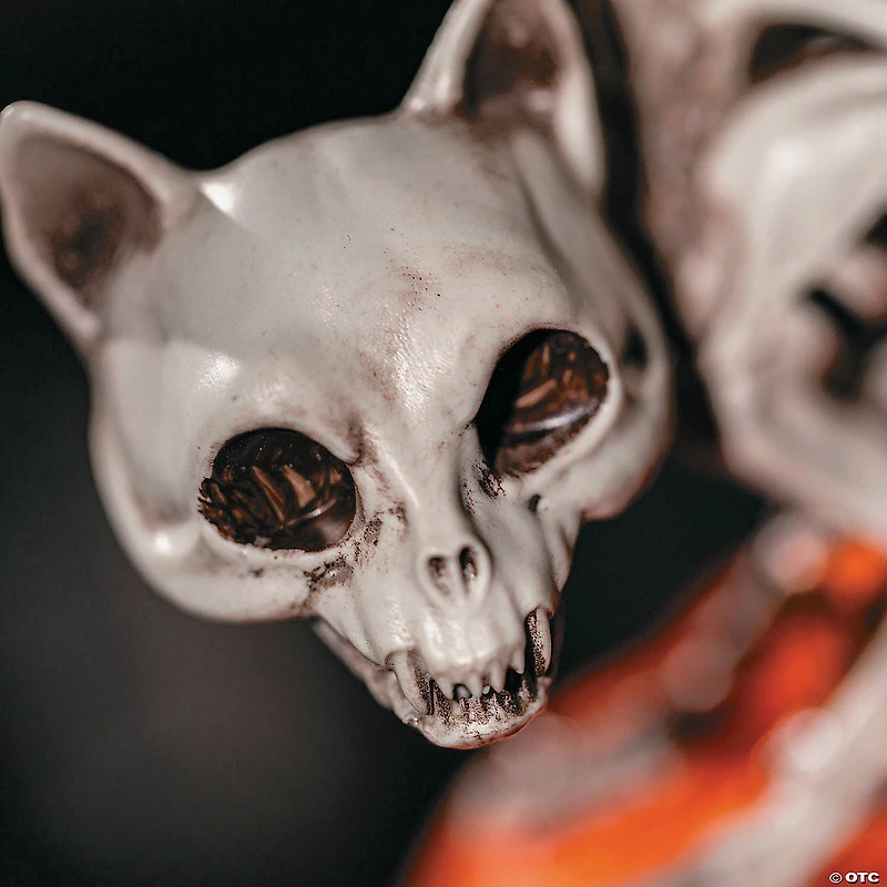 11 1/2" Animated Pumpkin with Skeleton Cat Tabletop Halloween Decoration