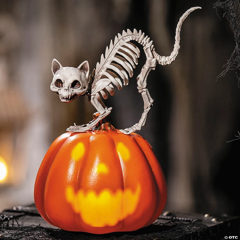 11 1/2" Animated Pumpkin with Skeleton Cat Tabletop Halloween Decoration