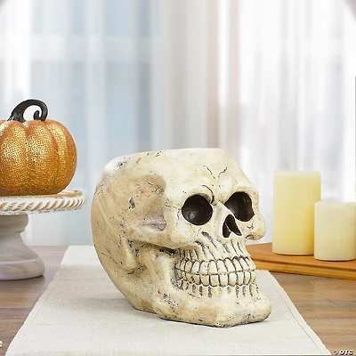 11" Ivory and Black Halloween Skull Tabletop Decoration