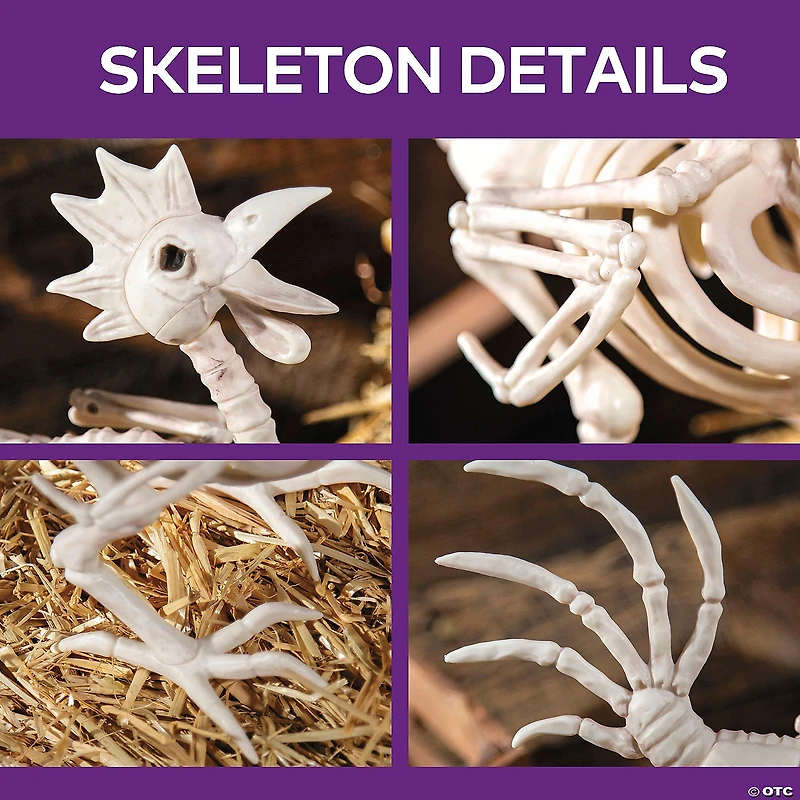 12 1/2" Rooster Skeleton Halloween Tabletop Decoration