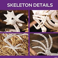12 1/2" Rooster Skeleton Halloween Tabletop Decoration