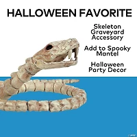 12 1/4" Slithering Snake Plastic Skeleton Halloween Decoration