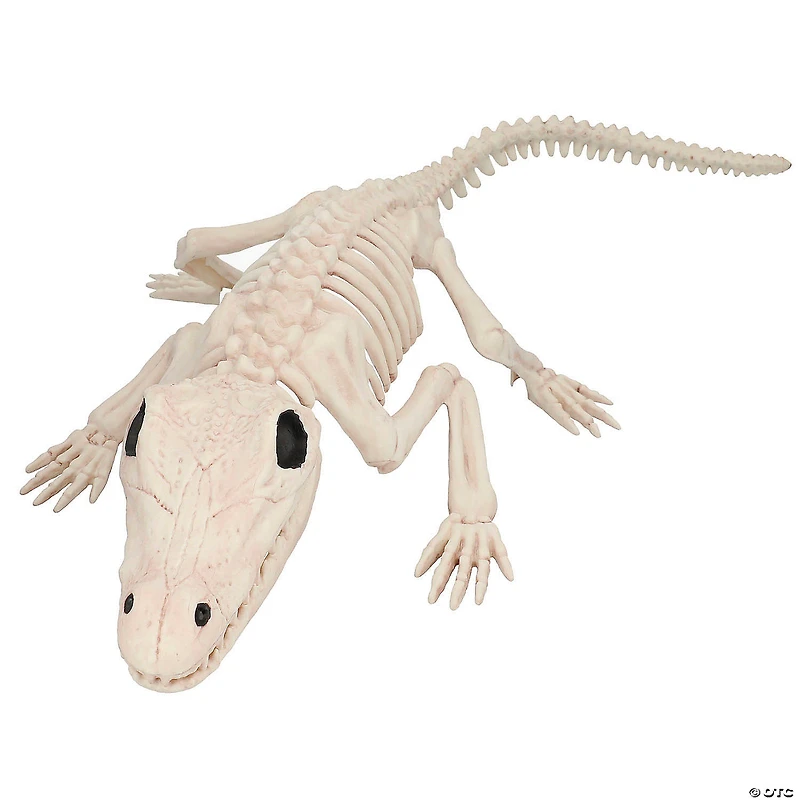 13 1/2" Crocodile Skeleton Halloween Decoration