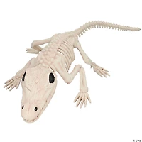 13 1/2" Crocodile Skeleton Halloween Decoration
