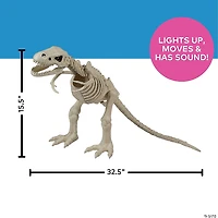 15 1/2" Animated Light-Up Tyrannosaurus Rex Skeleton Halloween Decoration