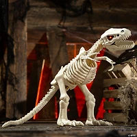 15 1/2" Animated Light-Up Tyrannosaurus Rex Skeleton Halloween Decoration