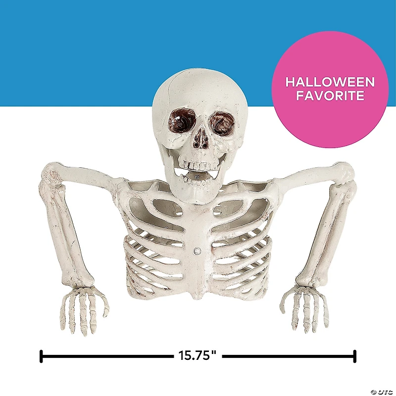 15 3/4" x 10 3/4" Tabletop White Plastic Half Skeleton Halloween Decoration
