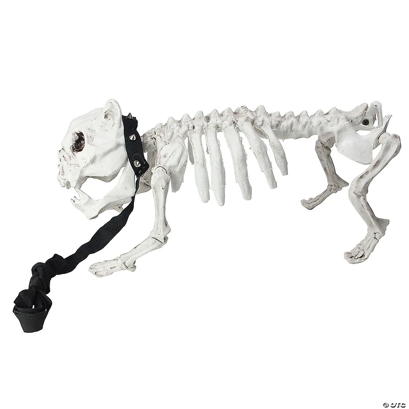 16.5" Skeleton Dog on Leash Halloween Decoration