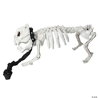 16.5" Skeleton Dog on Leash Halloween Decoration