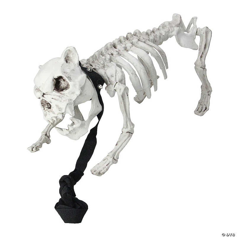 16.5" Skeleton Dog on Leash Halloween Decoration