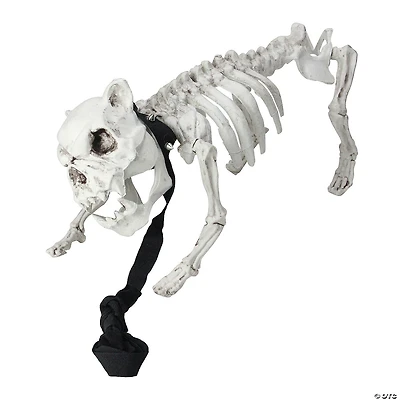 16.5" Skeleton Dog on Leash Halloween Decoration