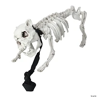 16.5" Skeleton Dog on Leash Halloween Decoration