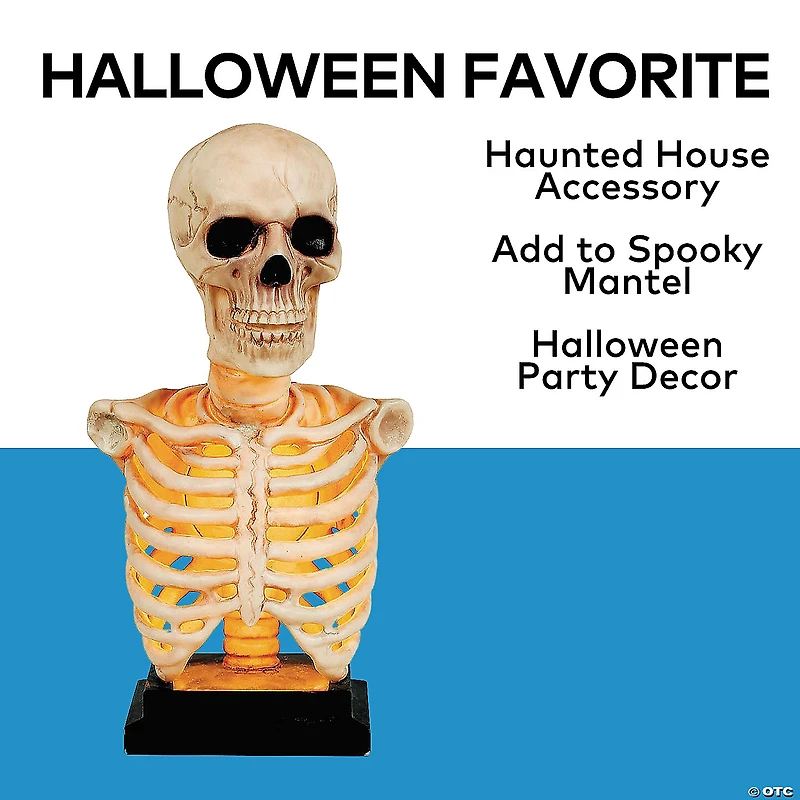 16" Skeleton Bust on Stand Halloween Tabletop Decoration