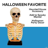 16" Skeleton Bust on Stand Halloween Tabletop Decoration