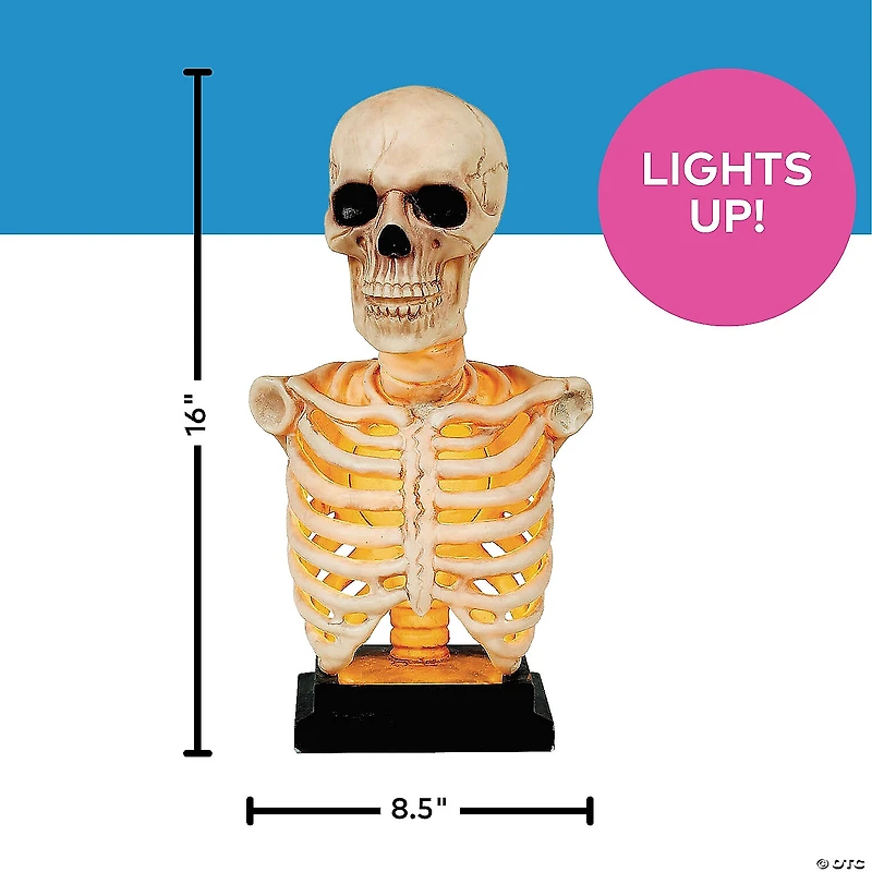 16" Skeleton Bust on Stand Halloween Tabletop Decoration