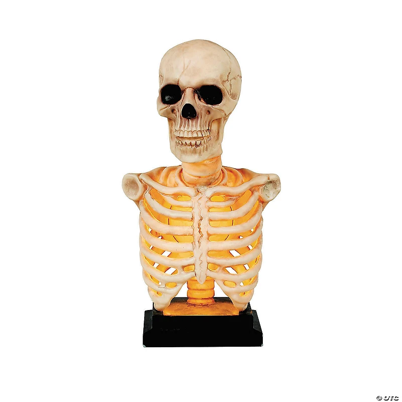 16" Skeleton Bust on Stand Halloween Tabletop Decoration