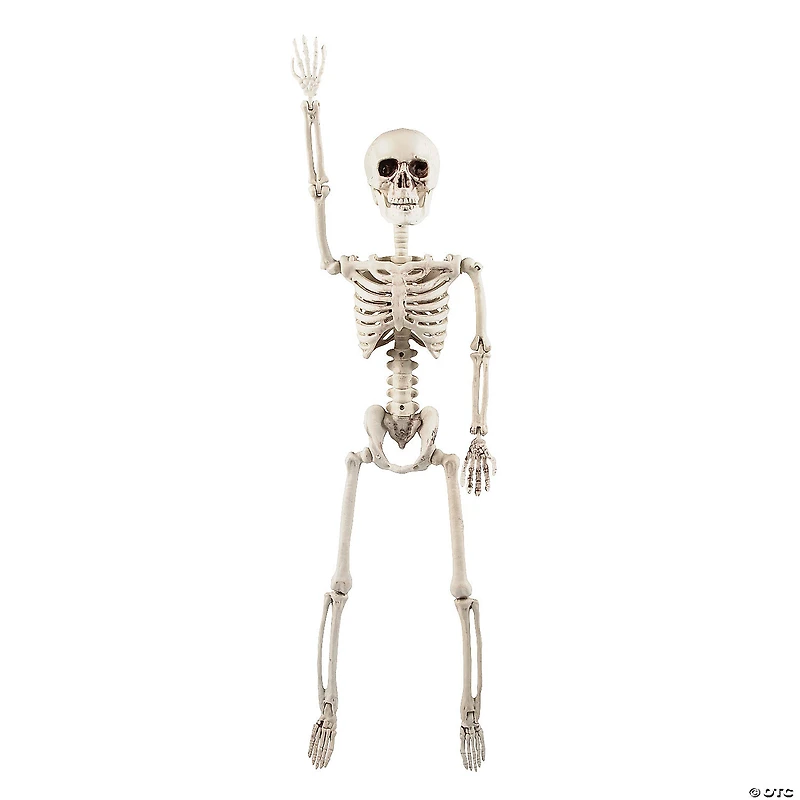 2 Ft. Posable Skeleton Halloween Decoration