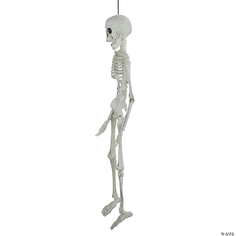 20" Jointed Skeleton Hanging Halloween Decoration
