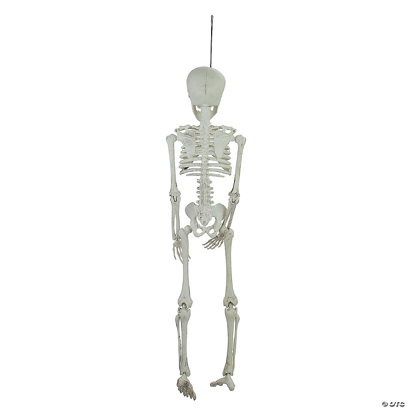 20" Jointed Skeleton Hanging Halloween Decoration