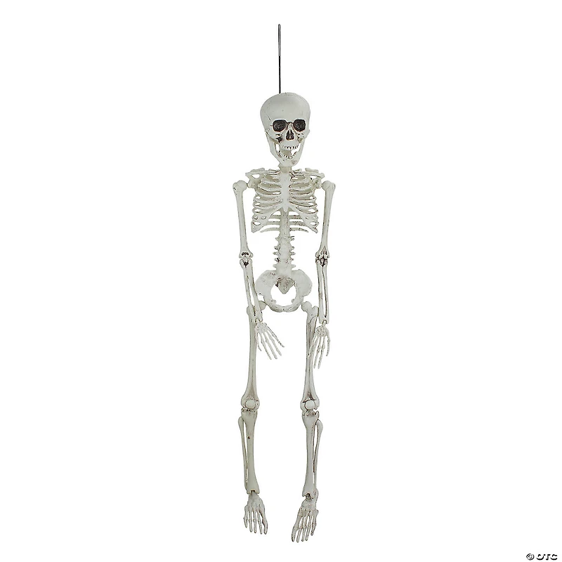 20" Jointed Skeleton Hanging Halloween Decoration