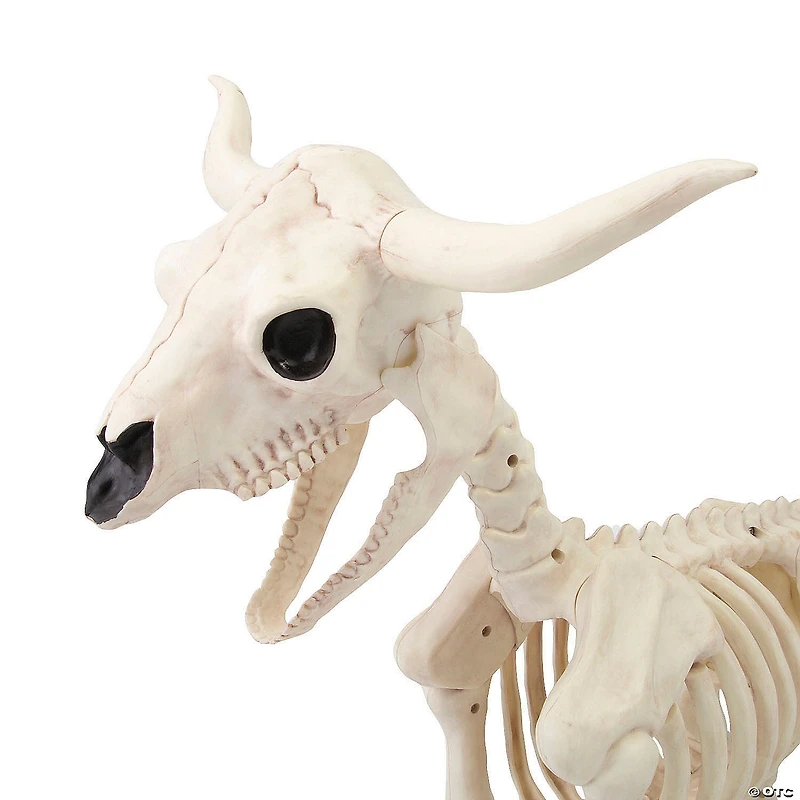 21 1/4" Standing Steer Skeleton Halloween Decoration