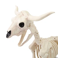 21 1/4" Standing Steer Skeleton Halloween Decoration