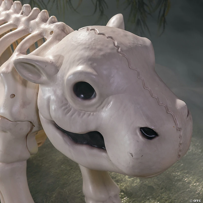 22" Standing Hippo Skeleton Halloween Decoration