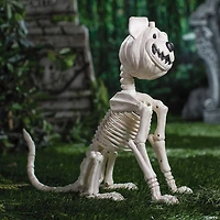 24 1/4" Sitting Pumpkin-Head Dog Skeleton Halloween Decoration