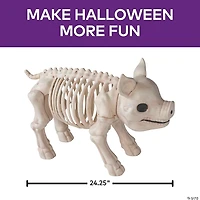 24 1/4" Standing Pig Skeleton Halloween Decoration