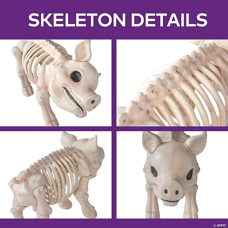 24 1/4" Standing Pig Skeleton Halloween Decoration