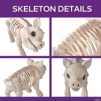 24 1/4" Standing Pig Skeleton Halloween Decoration