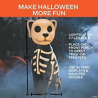24" Light-Up Skeleton Dog Blow Mold with C7 LED Halloween Decoration