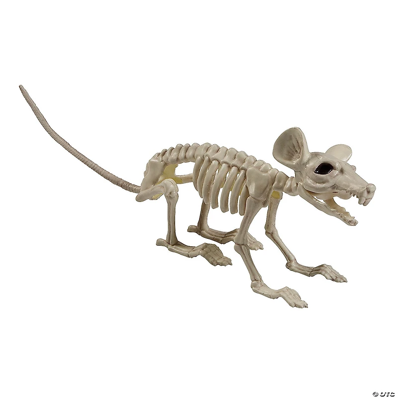 24" x 7" Plastic Rat Skeleton Halloween Tabletop Decoration