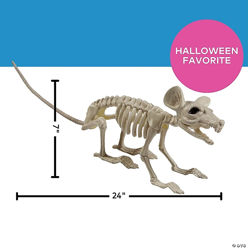 24" x 7" Plastic Rat Skeleton Halloween Tabletop Decoration