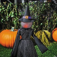 27 1/2" Light-Up LED Witch Pathway Yard Stakes Halloween Decoration