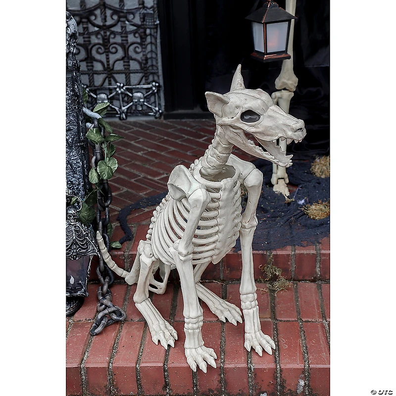 29" Doberman Skeleton Halloween Decoration