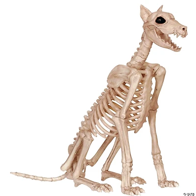 29" Doberman Skeleton Halloween Decoration