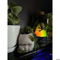 3 1/2" Halloween Plastic Doll Heads in Mesh Bag - 12 Pc.