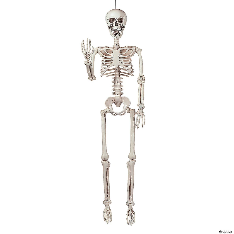 3' Posable Skeleton Halloween Decoration