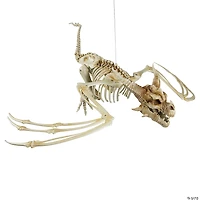 35 1/4" x 11 3/4" Pterosaur Skeleton Plastic Hanging Halloween Decoration