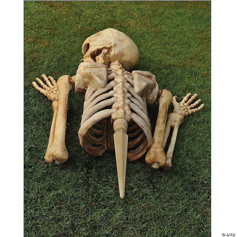 4 Ft. Posable Skeleton Grave Breaker™ Halloween Decoration