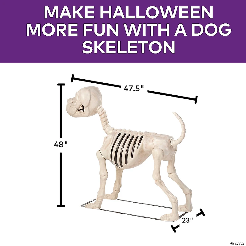4 Ft. Standing Dog Skeleton Halloween Decoration
