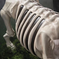 4 Ft. Standing Dog Skeleton Halloween Decoration