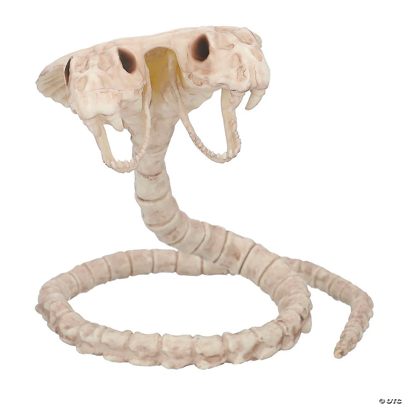 5 1/2" Two-Headed Cobra Snake Skeleton Halloween Decoration