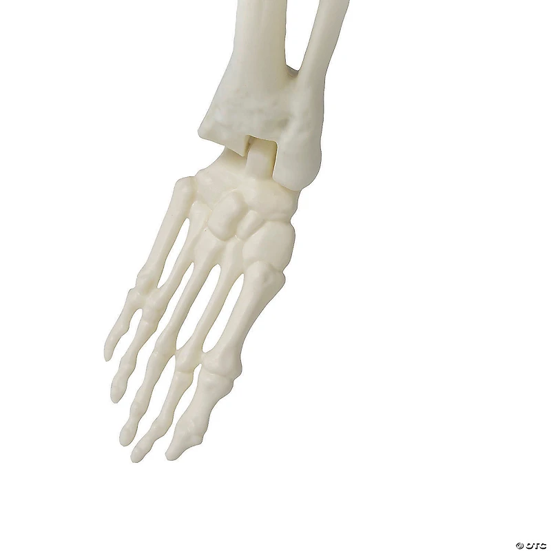 5 Ft. 4" Standing Monster Skeleton Halloween Decoration